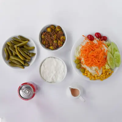 سرویس کامل شاندیز 